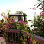Semesteranläggning (resort) Forever Club (adults Only) Bodrum