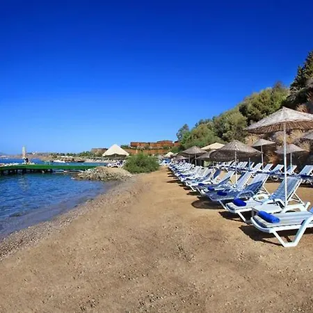 Resort Forever Club (adults Only) Bodrum