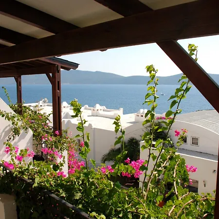 Forever Club (adults Only) 4* Бодрум