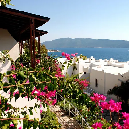 Forever Club (adults Only) 4* Бодрум