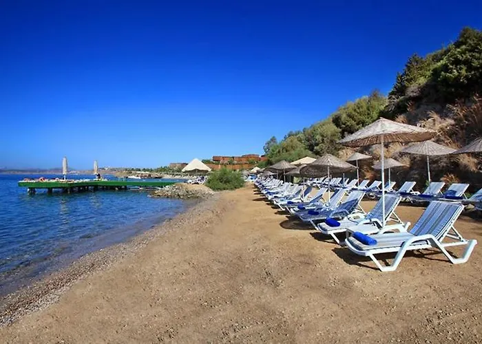 Üdülőközpont Forever Club (adults Only) Bodrum