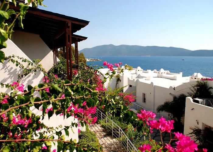 Forever Club (adults Only) 4* Bodrum