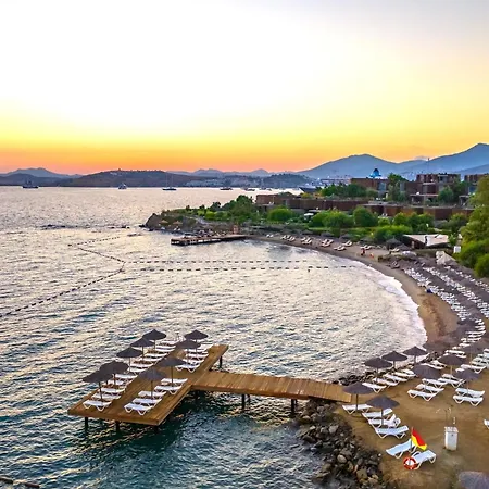 Forever Club (adults Only)