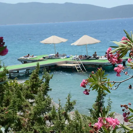 Forever Club (adults Only) 4* Bodrum