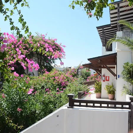 Forever Club (adults Only) Feriested Bodrum