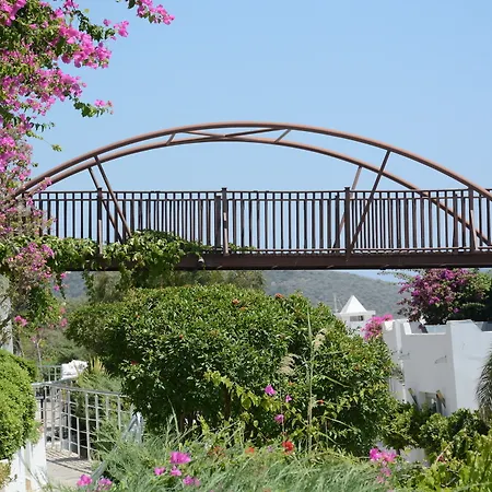 Resort Forever Club (adults Only) 4*