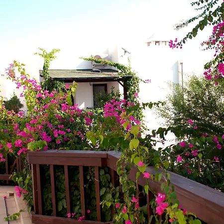 Resort Forever Club (adults Only) Bodrum