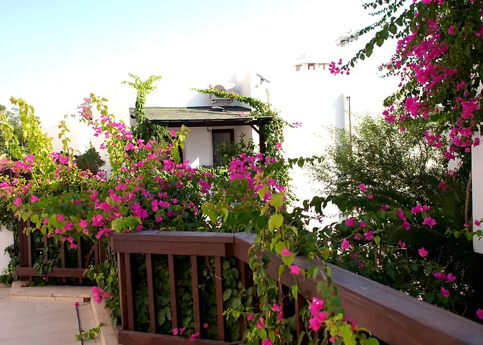 Resort Forever Club (adults Only) Bodrum